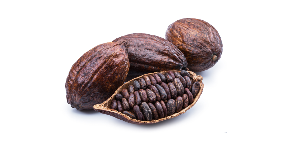Theobroma Cacao (Cocoa) Extract