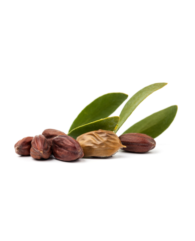Simmondsia Chinensis (Jojoba) Seed Oil