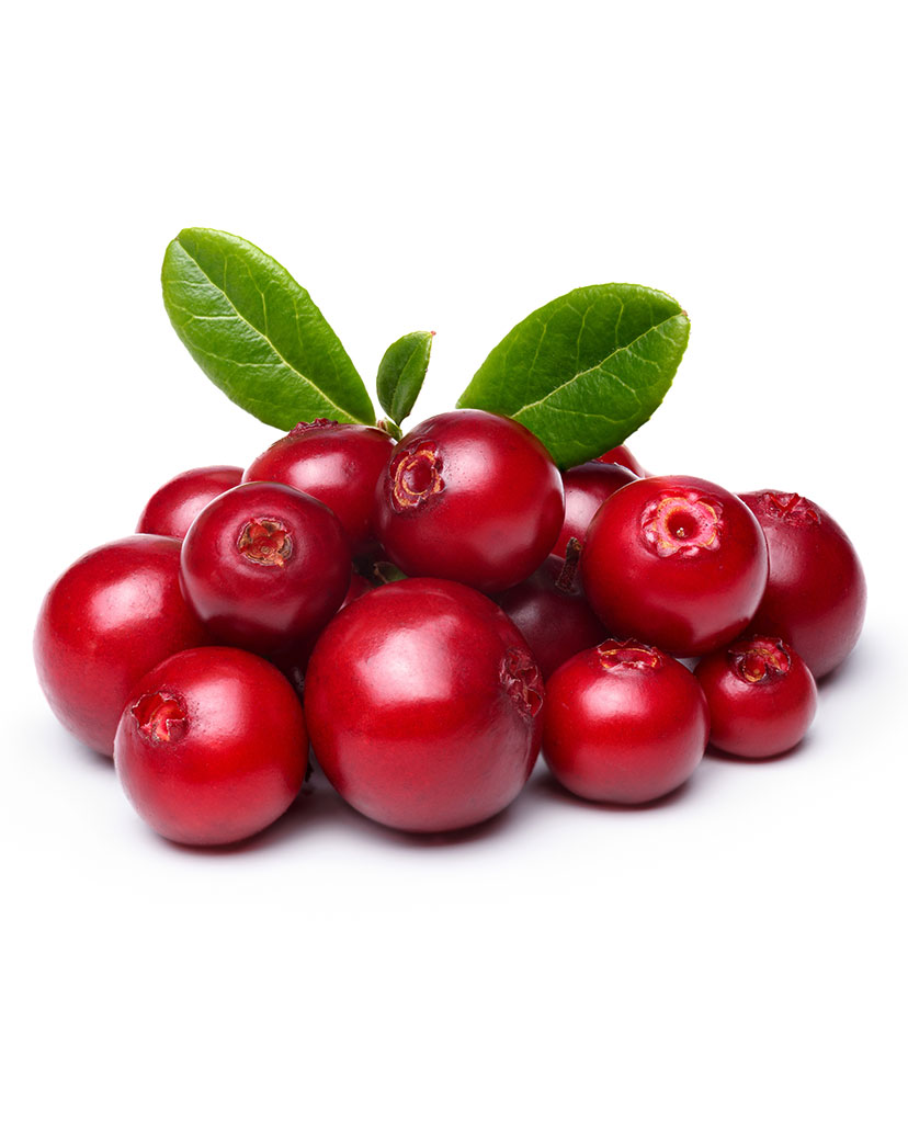 HH_int_Lingonberry