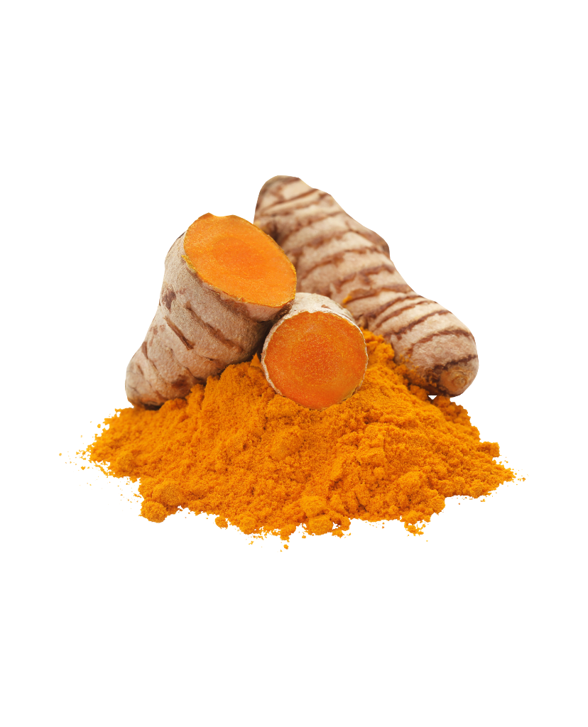 HH_Int_Turmeric